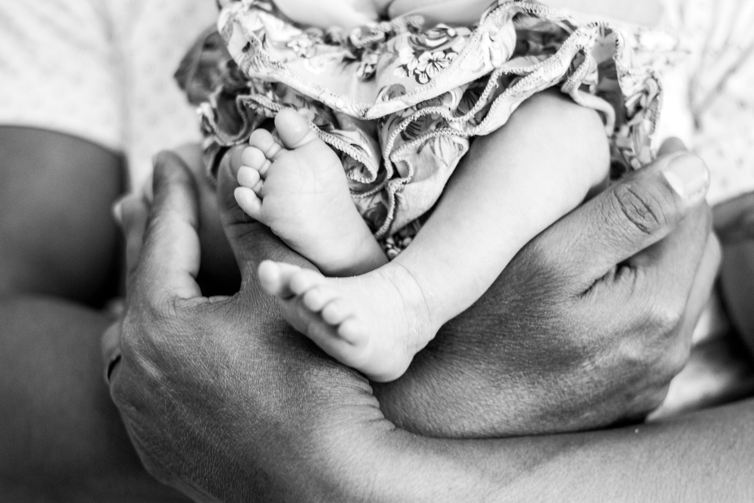 lifestyle newborn photography, Tampa