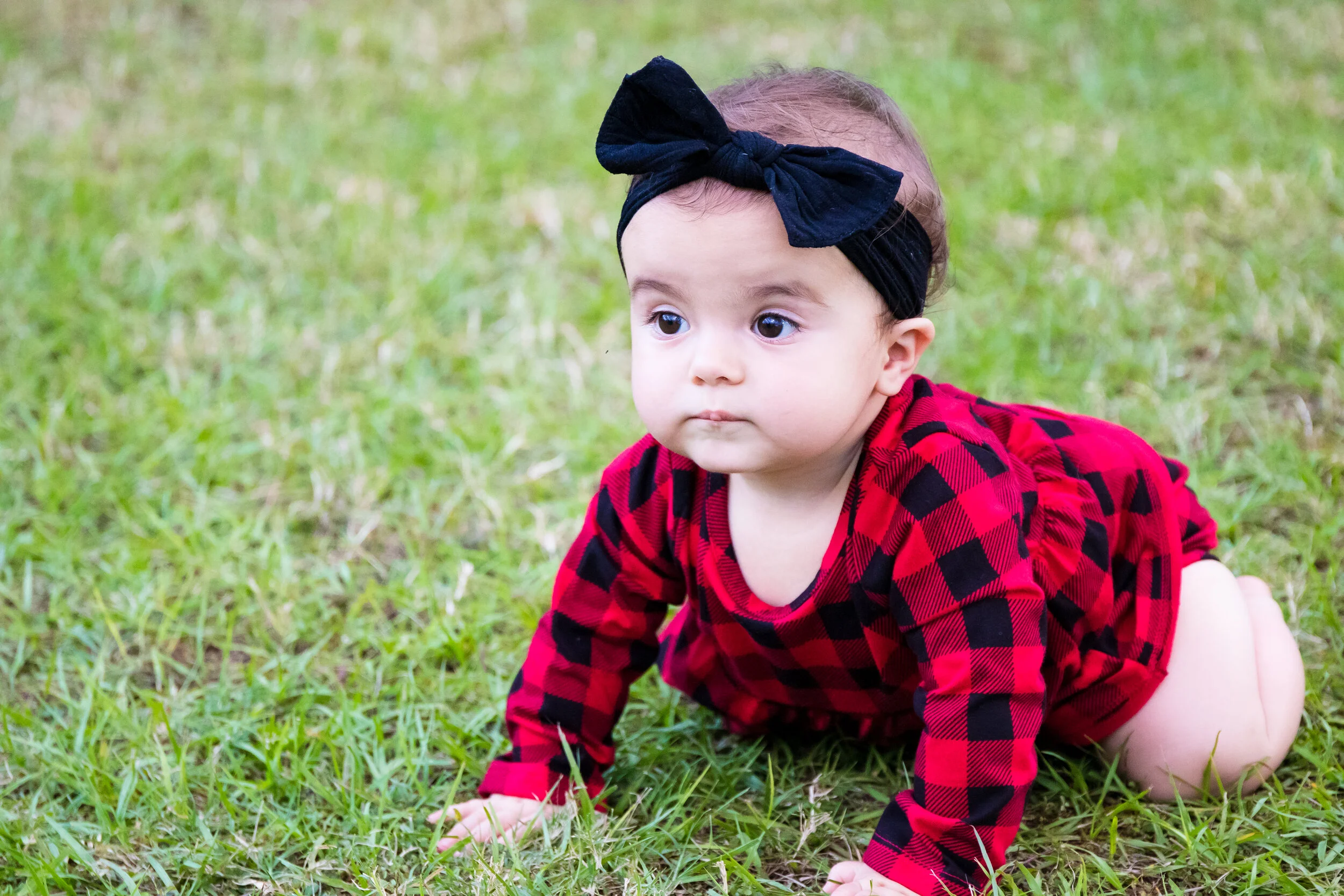 best family photographer, Tampa