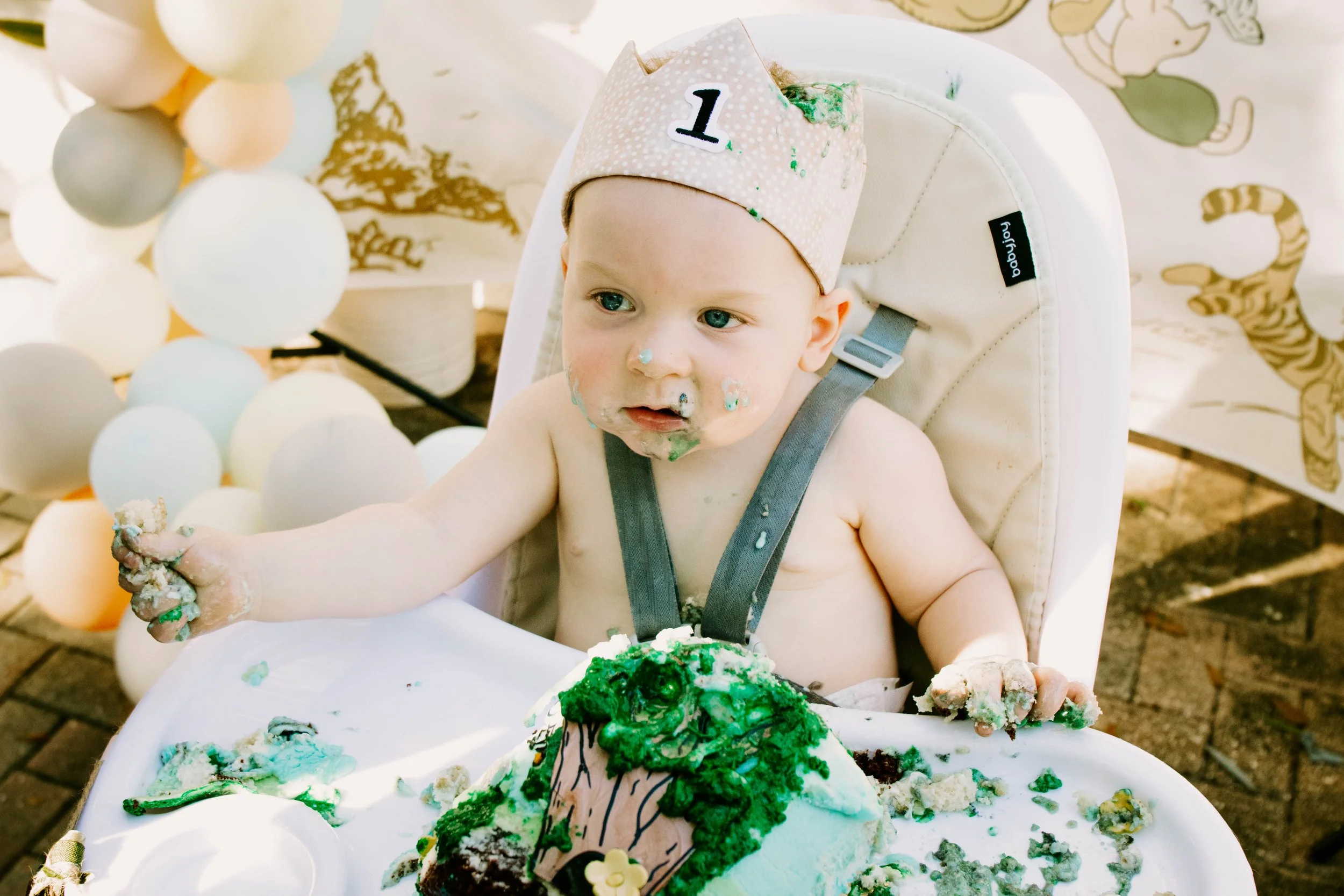 best 1st birthday photographer, Tampa