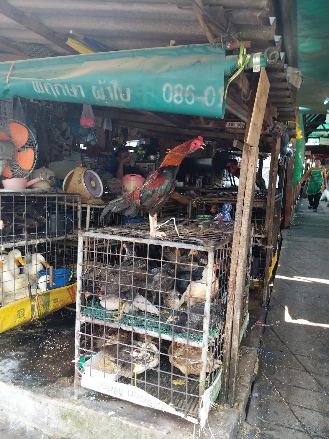 Klong Toei Market