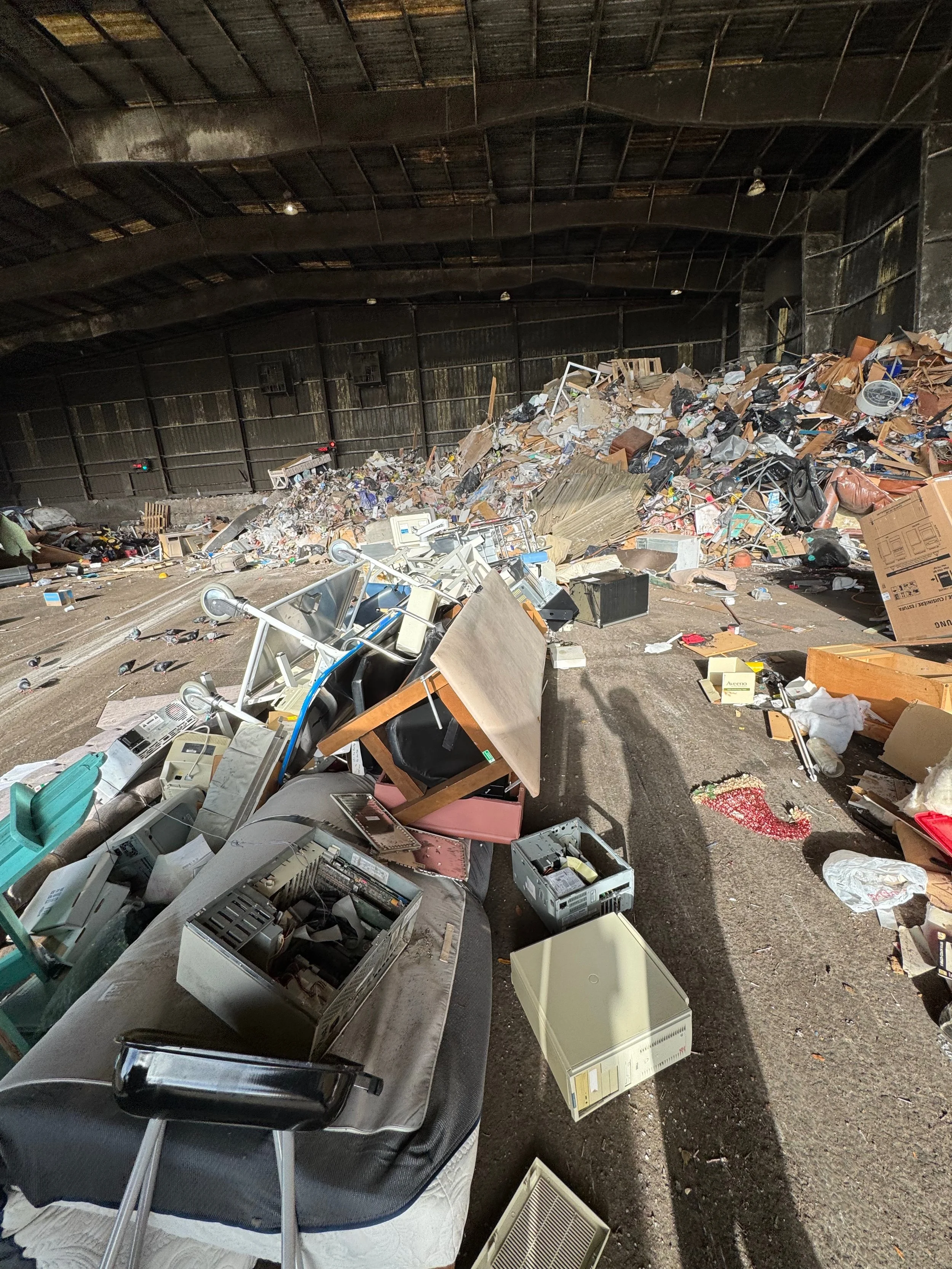 DIY Junk Removal vs Professional Junk Removal in Summerfield, FL