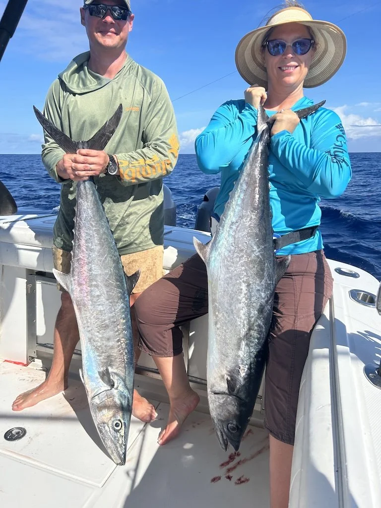 Pesca con cebo vivo de la caballa real con Simply Caught Charters
