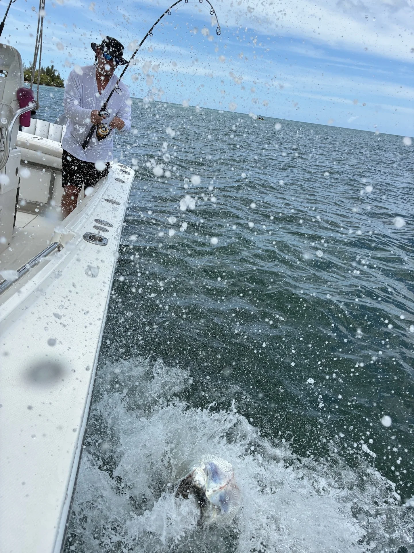 tarpon-tours.jpg