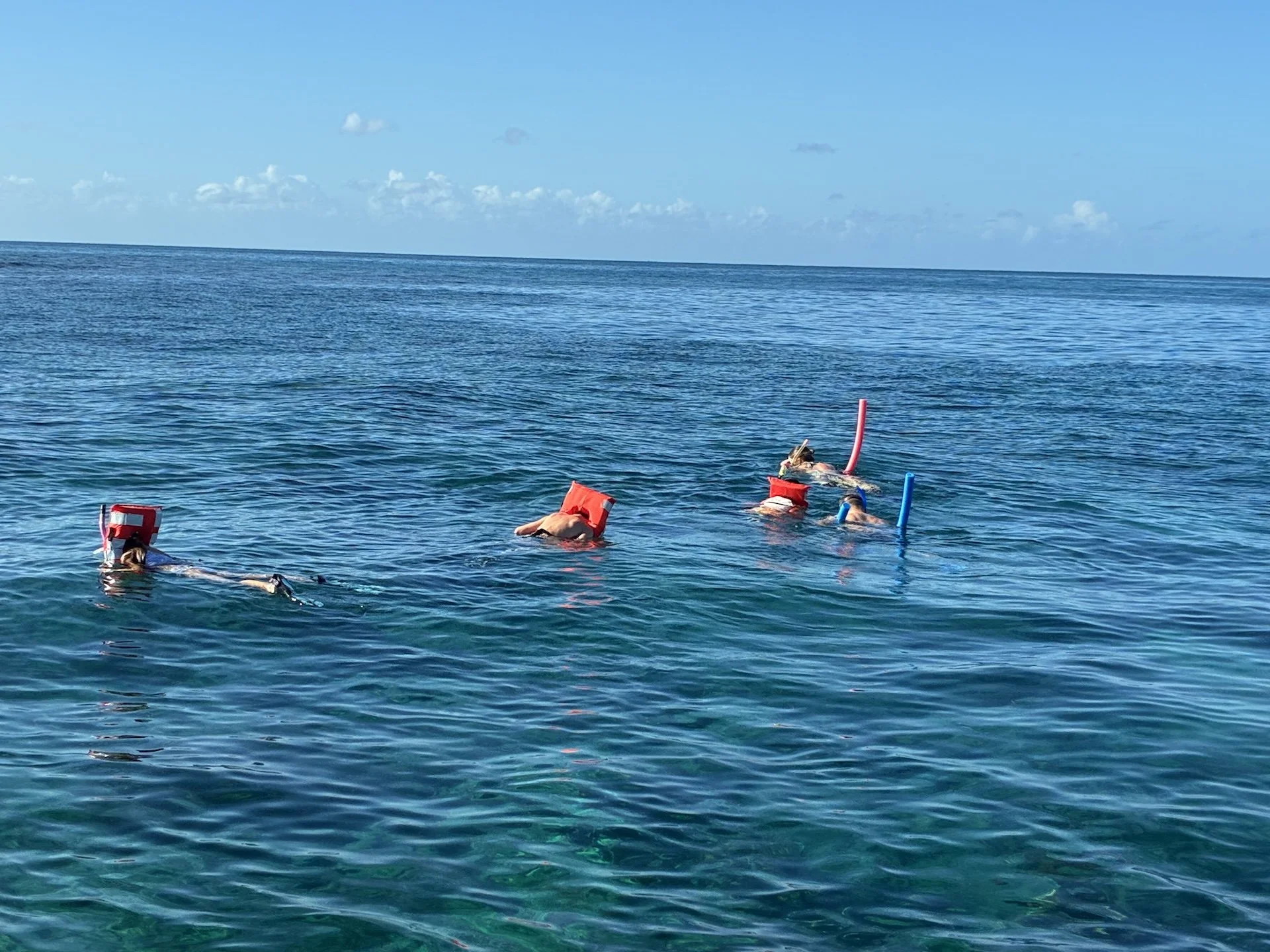 Excursiones de snorkel con todo incluido en Rincón