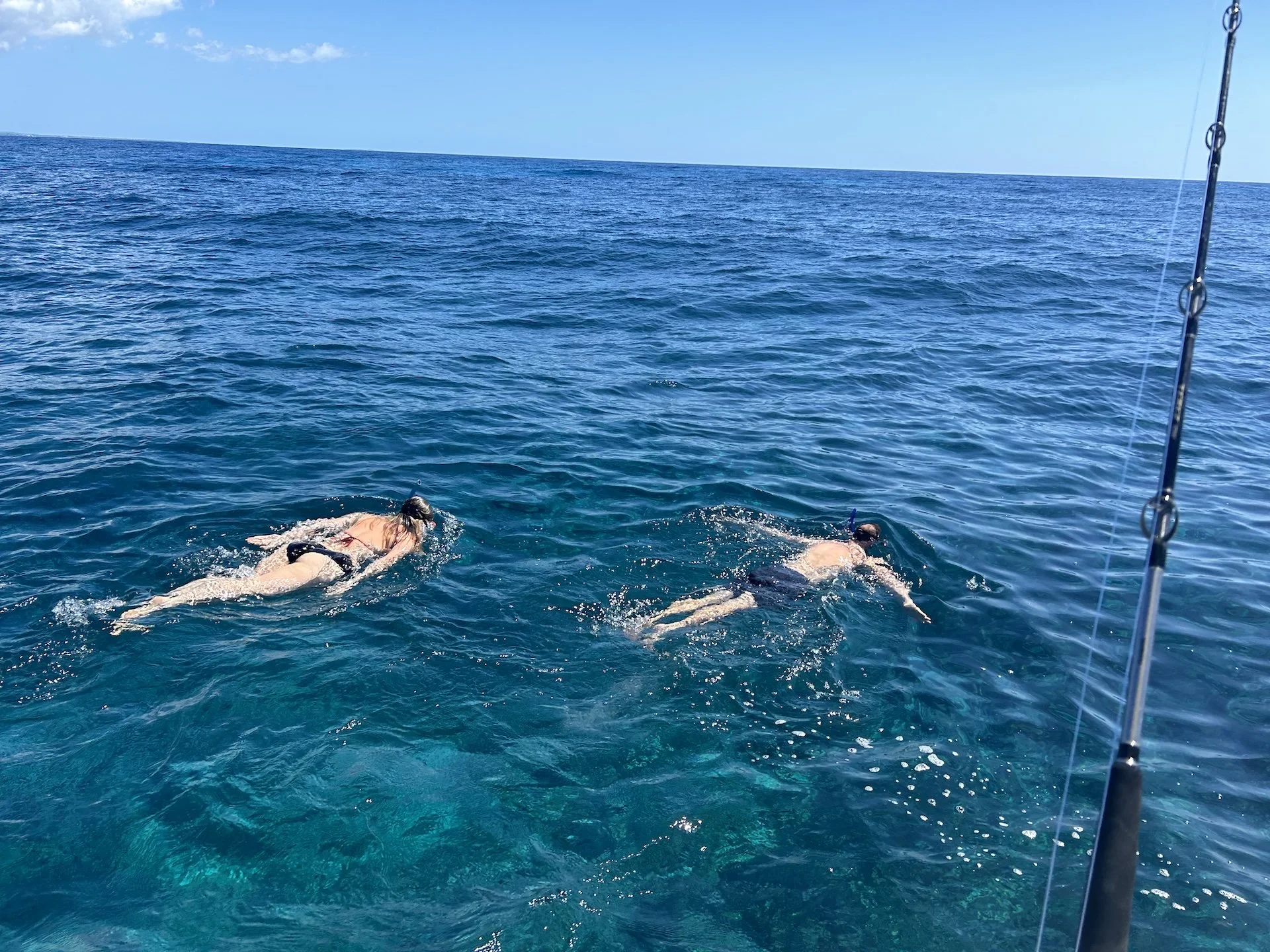 Excursiones de snorkel en Rincón a arrecifes privados y recónditos