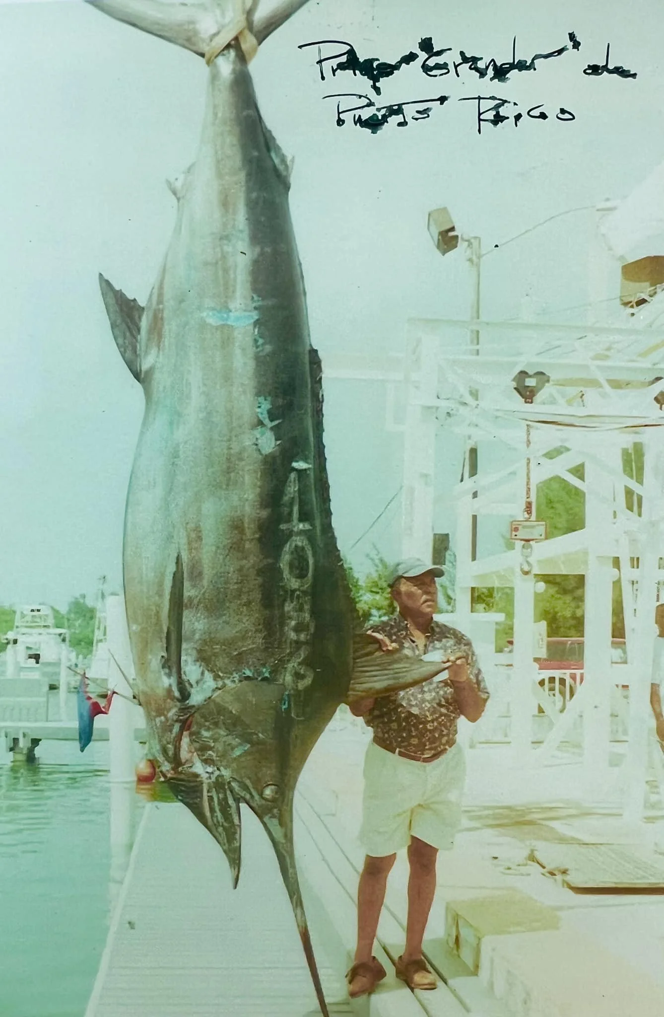 The History of Puerto Rico Marlin Fishing and Charters