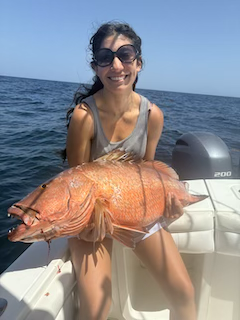 cubera snapper fishing and charters 