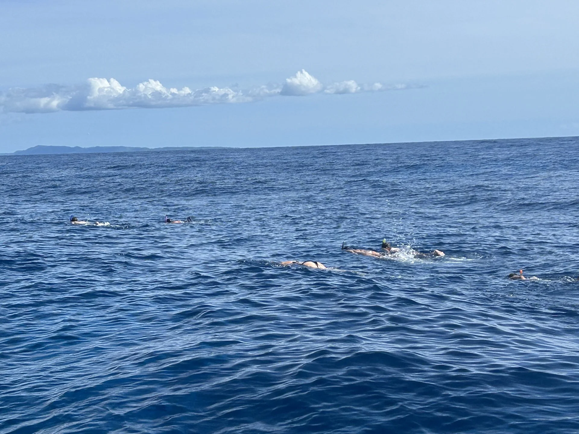 Excursiones privadas de buceo con tubo en Puerto Rico