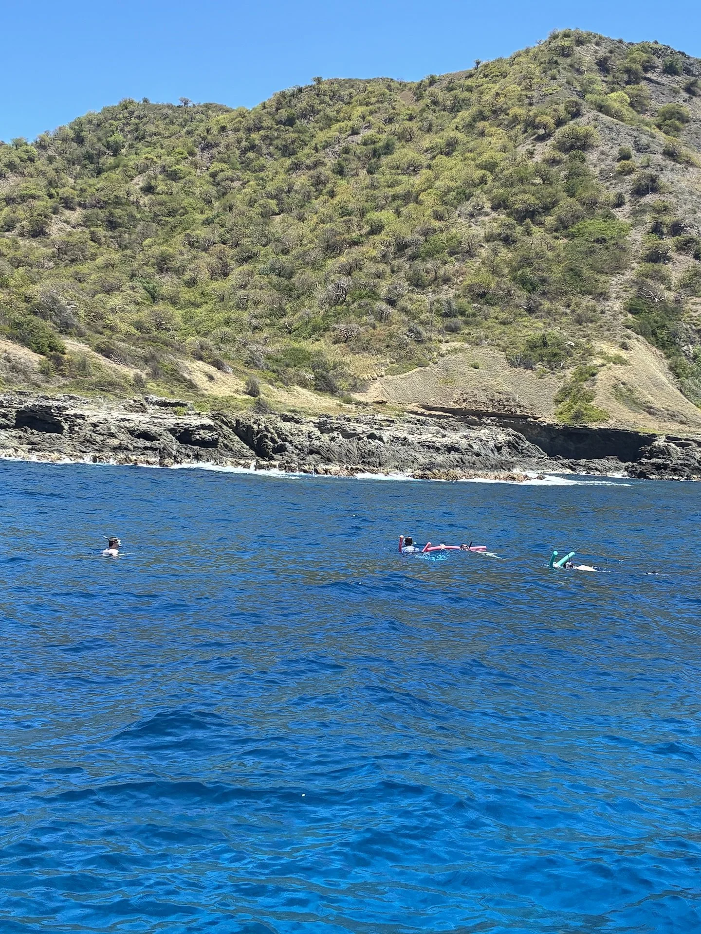 Hacer snorkel en las aguas cristalinas de la isla de Desecheo, frente a Rincón