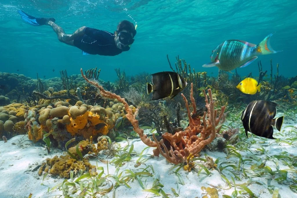 simply-caught-snorkeling-tours.jpeg
