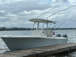 Las embarcaciones Regulator son ideales para la pesca del marlín azul, ya que su casco en V profunda y su dirección sensible ofrecen una excelente maniobrabilidad en alta mar. Mantienen un rumbo estable a velocidades de curricán, sujetan bien los sedales en mares agitados y pueden adaptarse rápidamente