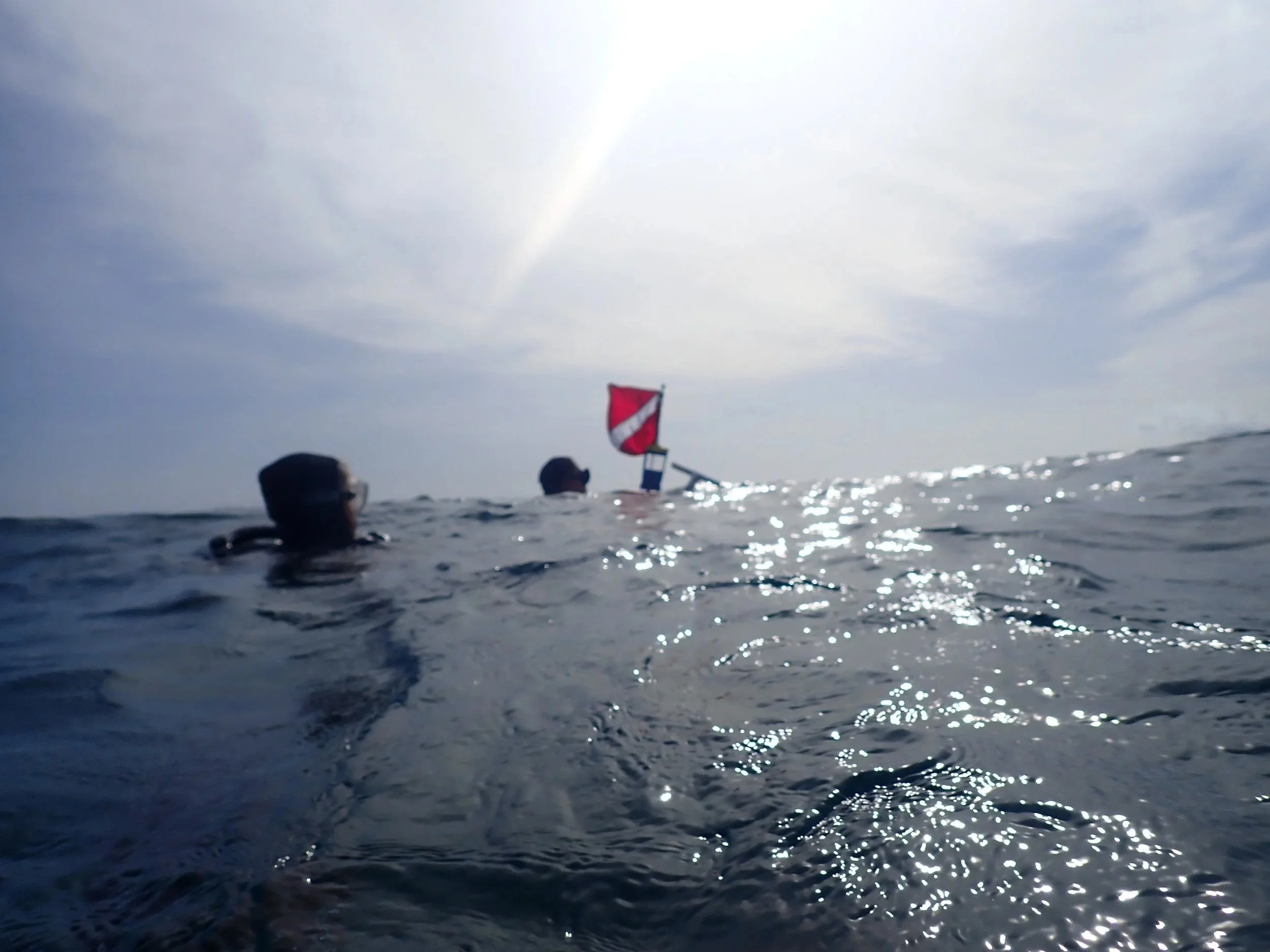 Professional Diving services in Puerto Rico.jpeg
