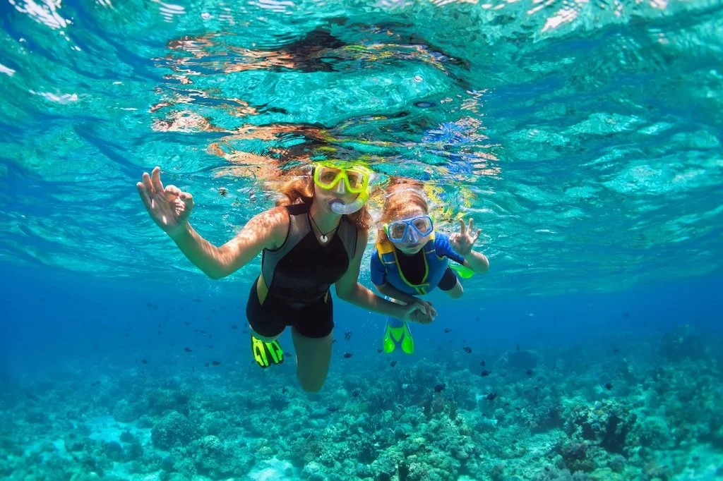 Snorkel para toda la familia en los arrecifes de Puerto Real (PR). Excursiones de snorkel en nuestra embarcación «26 Regulator».