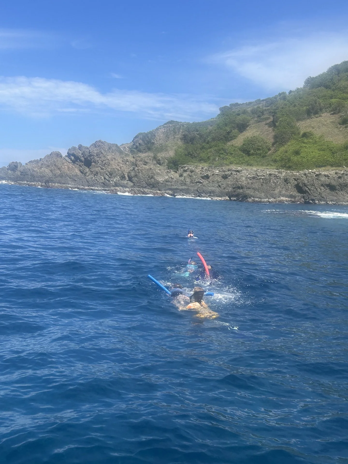 Hacer snorkel en la isla de Desecheo en un día tranquilo con aguas muy cristalinas
