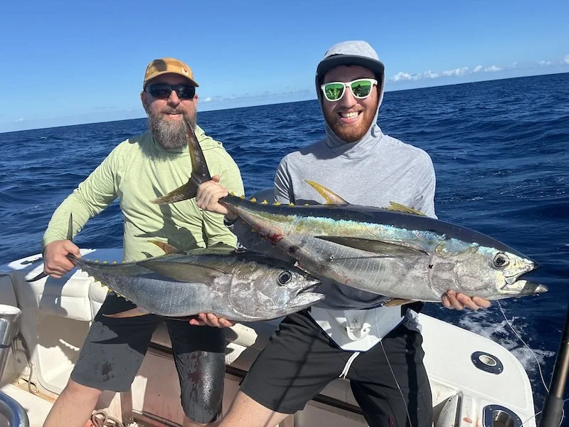 Pesca del atún de aleta amarilla en Rincón, Puerto Rico
