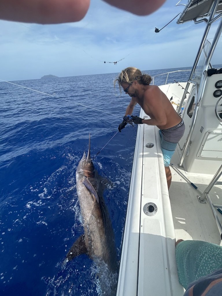 lure fishing Blue marlin with Marlin Magic Smokey Joe