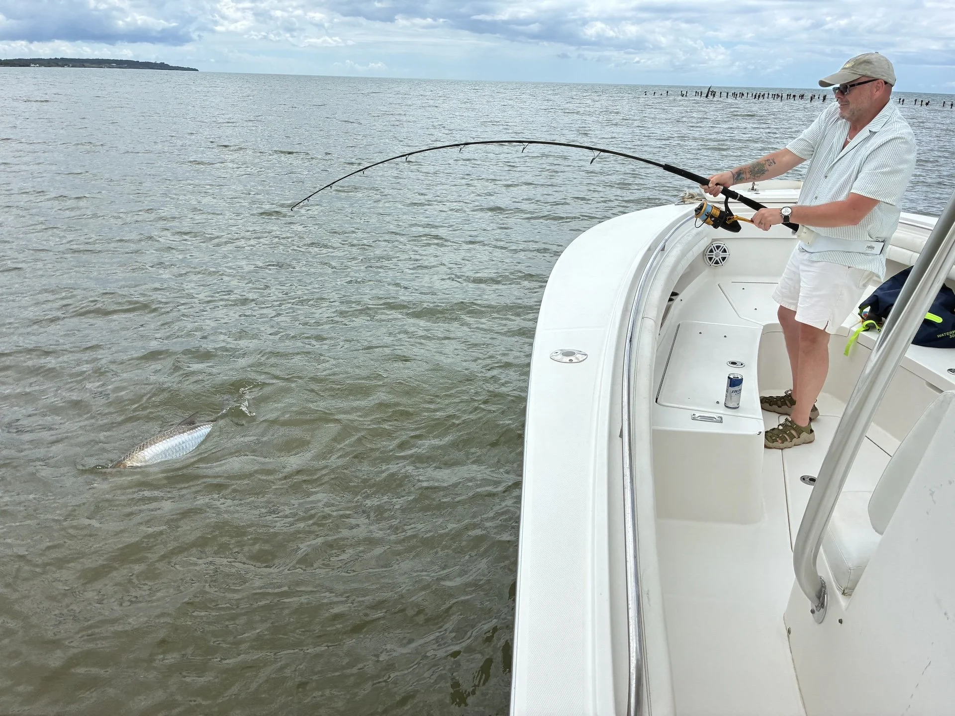 Pesca de tarpones gigantes con caña de spinning en Puerto Rico