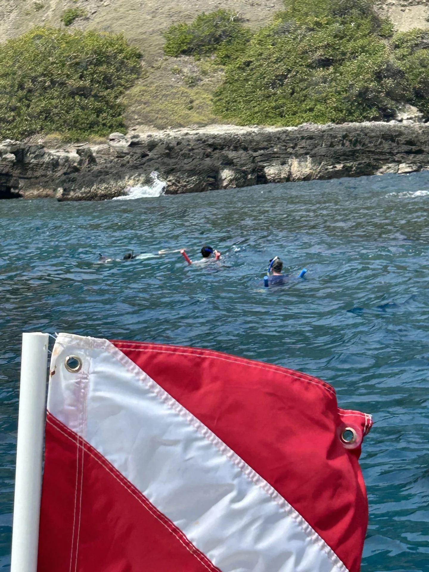 Excursión privada de snorkel a la isla de Desecheo