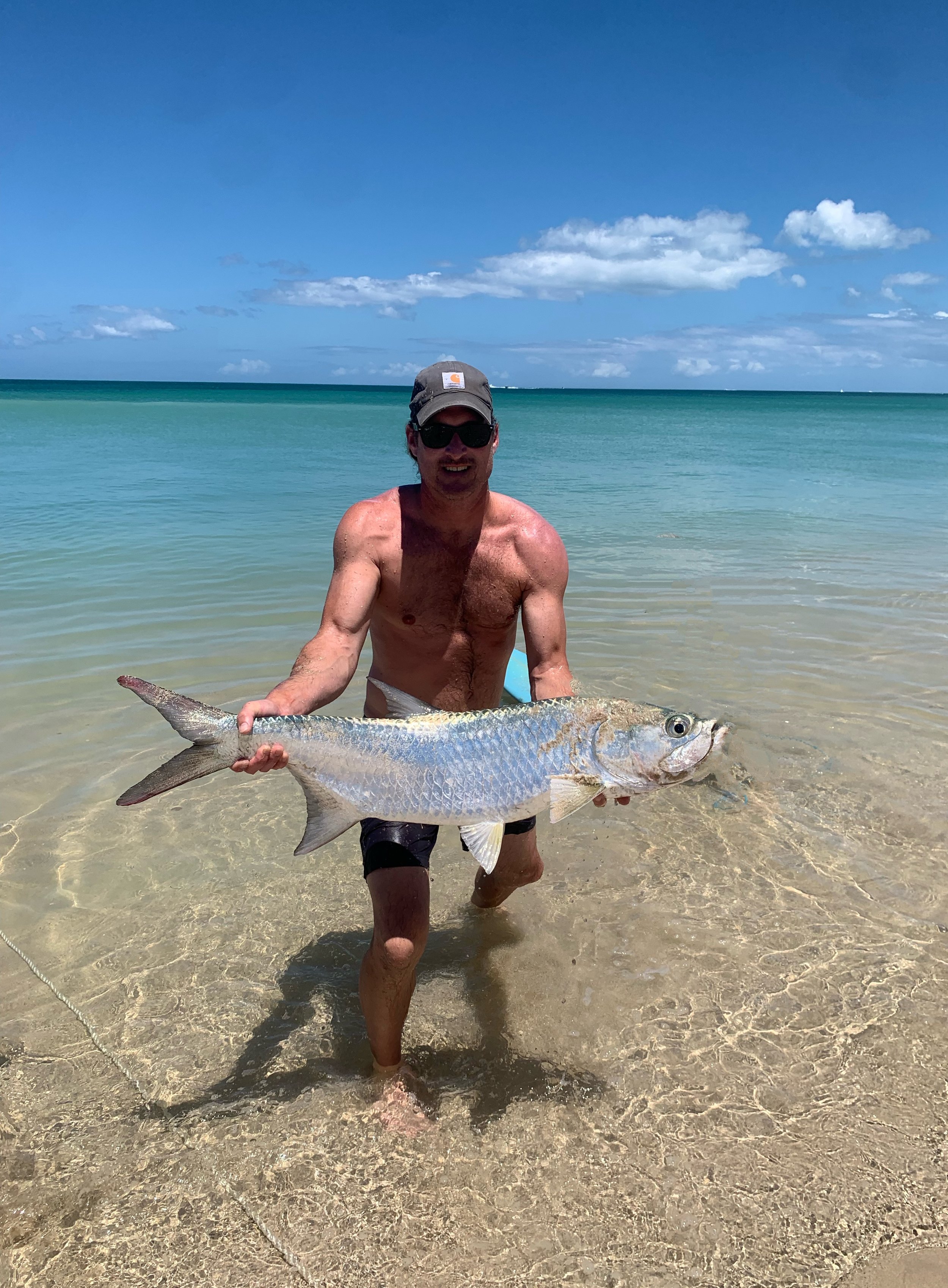 Tarpon in Combate.jpg