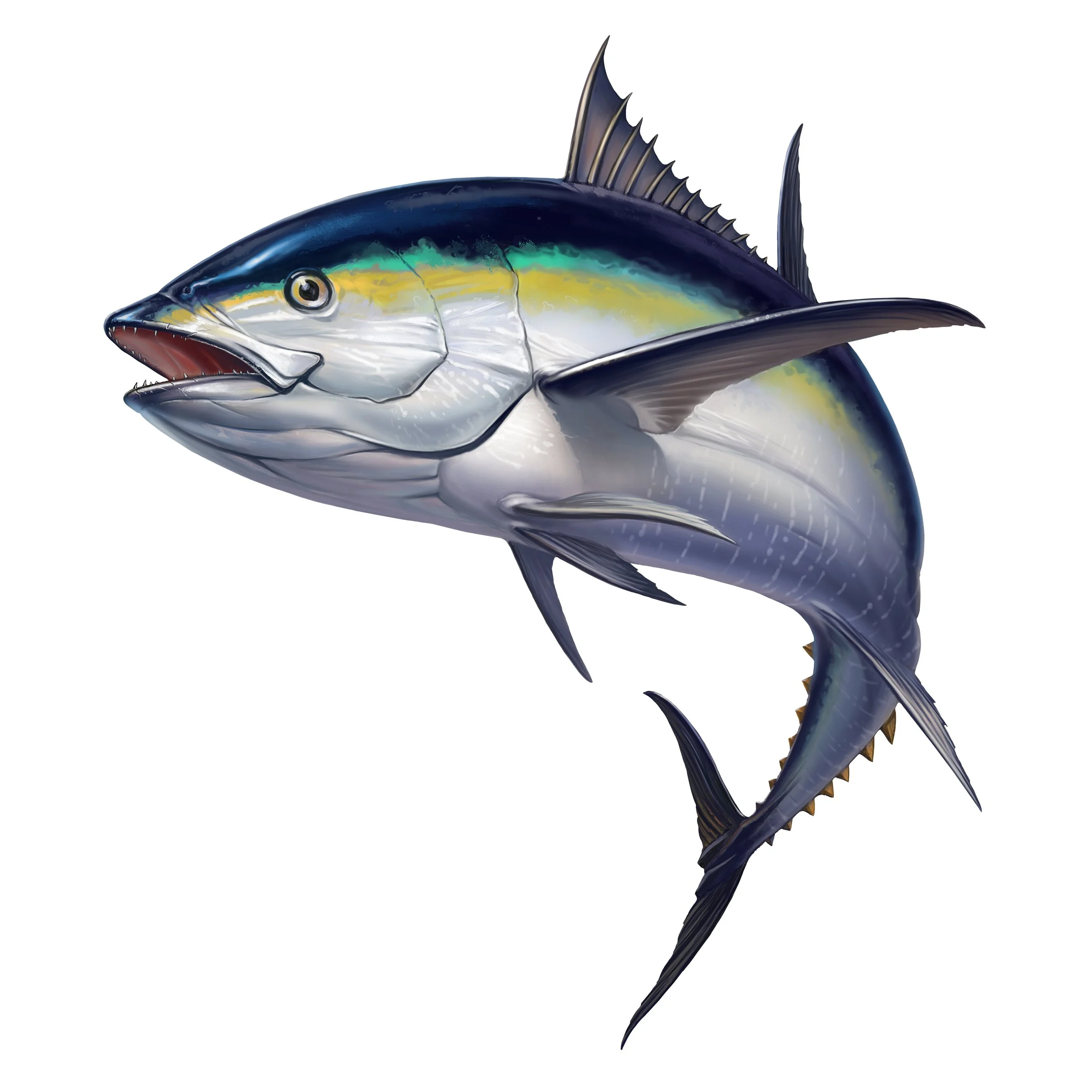 Ilustración de un atún de aleta amarilla con vivos colores amarillos, verdes y azules, y aletas dorsales prominentes.