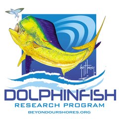 dolphin fish foundation.jpg