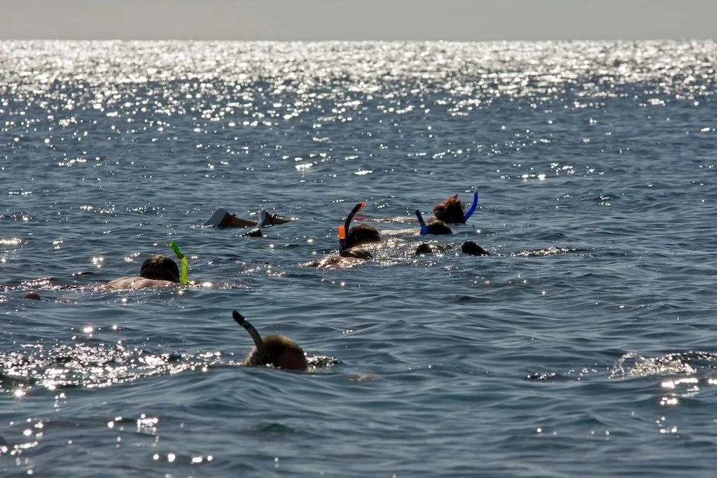 Excursiones y salidas en barco para practicar snorkel en Puerto Rico