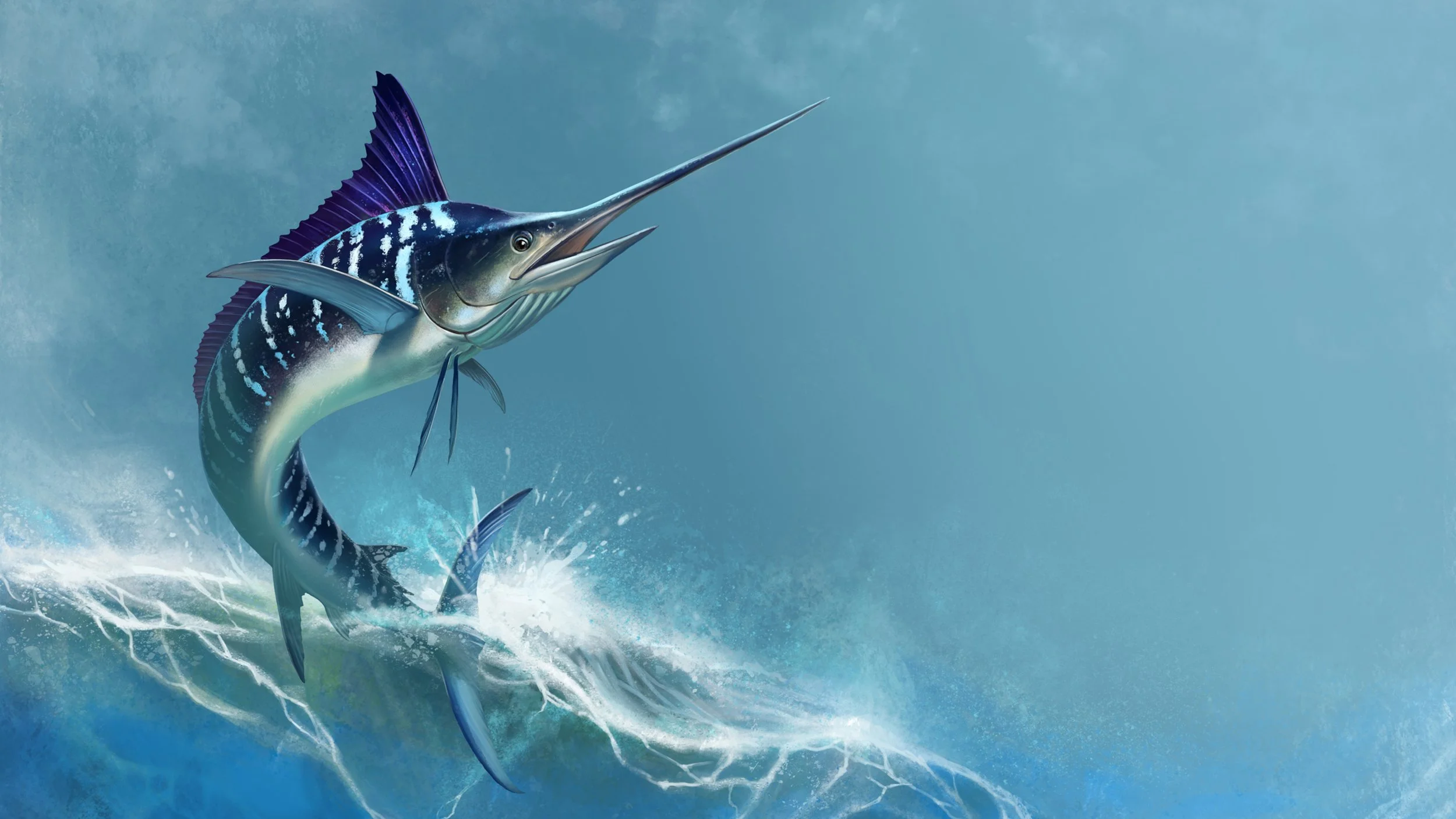 Los mejores destinos para la pesca del marlín