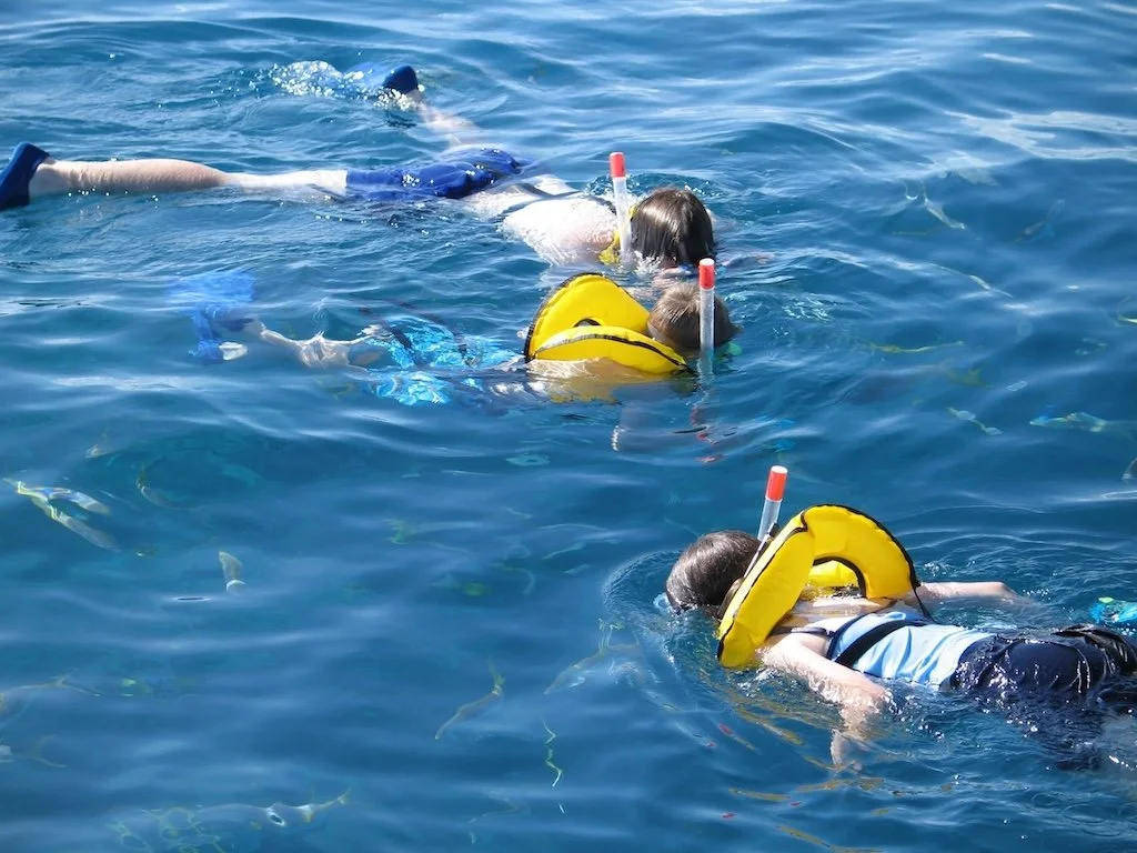 Snorkel en Cabo Rojo