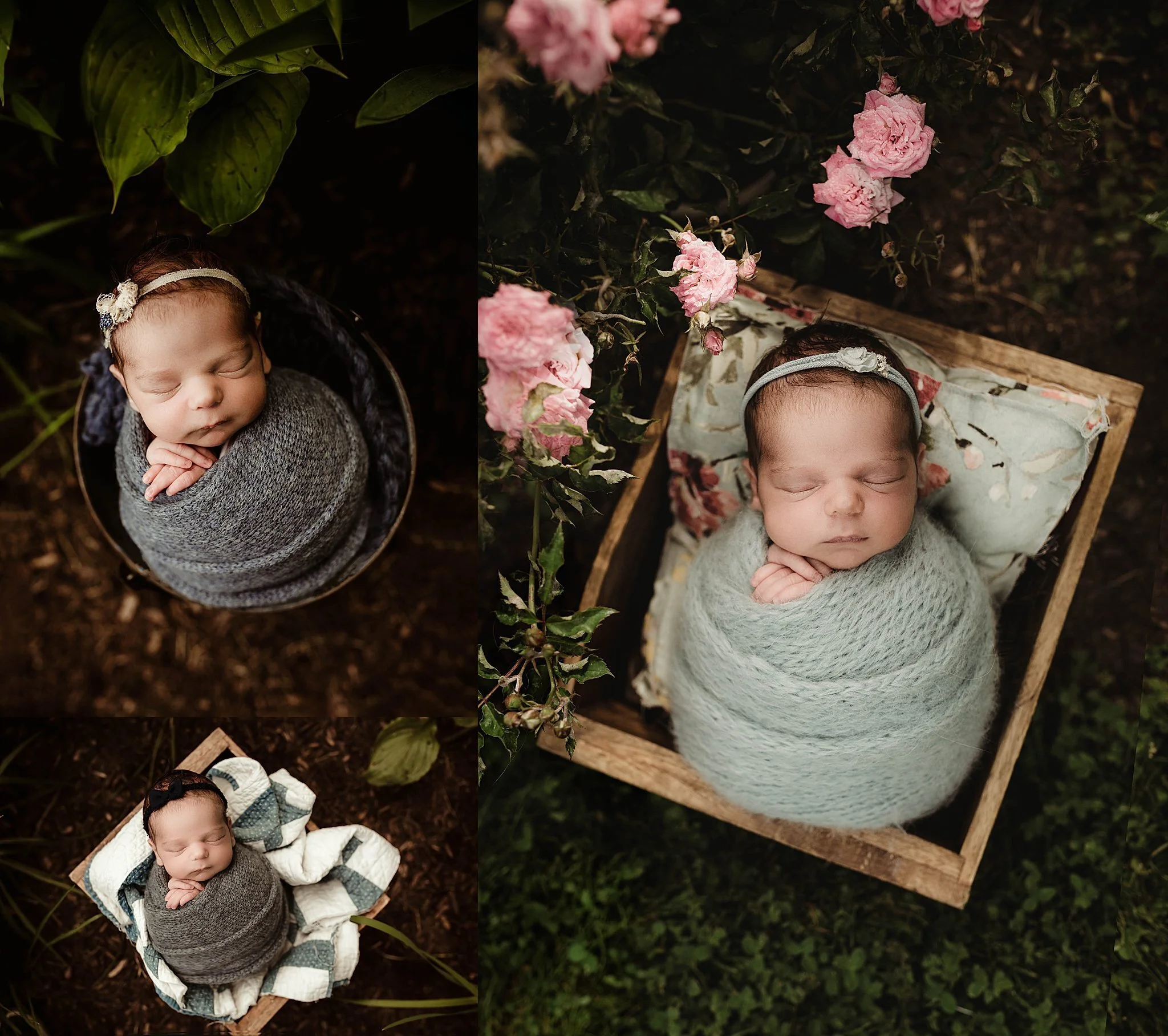 Stefanie-Cole-Photography-Outdoor-Garden-Newborn-Session.jpeg