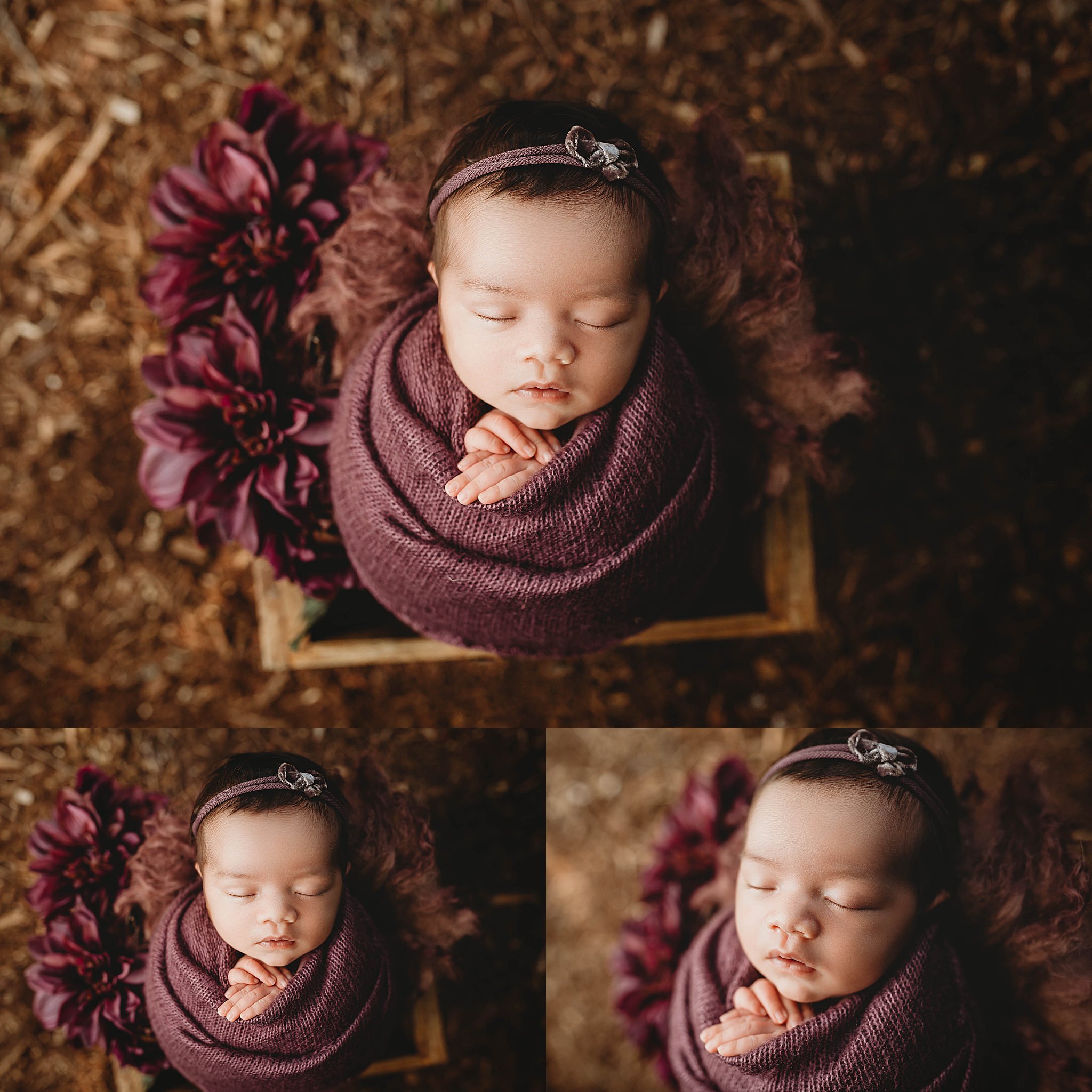 Stefanie-Cole-Photography-Outdoor-Baby-Girl-Photoshoot .jpeg