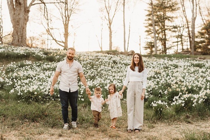 I can&rsquo;t think of anything that captures the innocence of childhood better than a field of flowers 🥹. I was so excited to meet this favorite family for updated spring pictures on the most perfect evening. The daffodils were truly breathtaking a