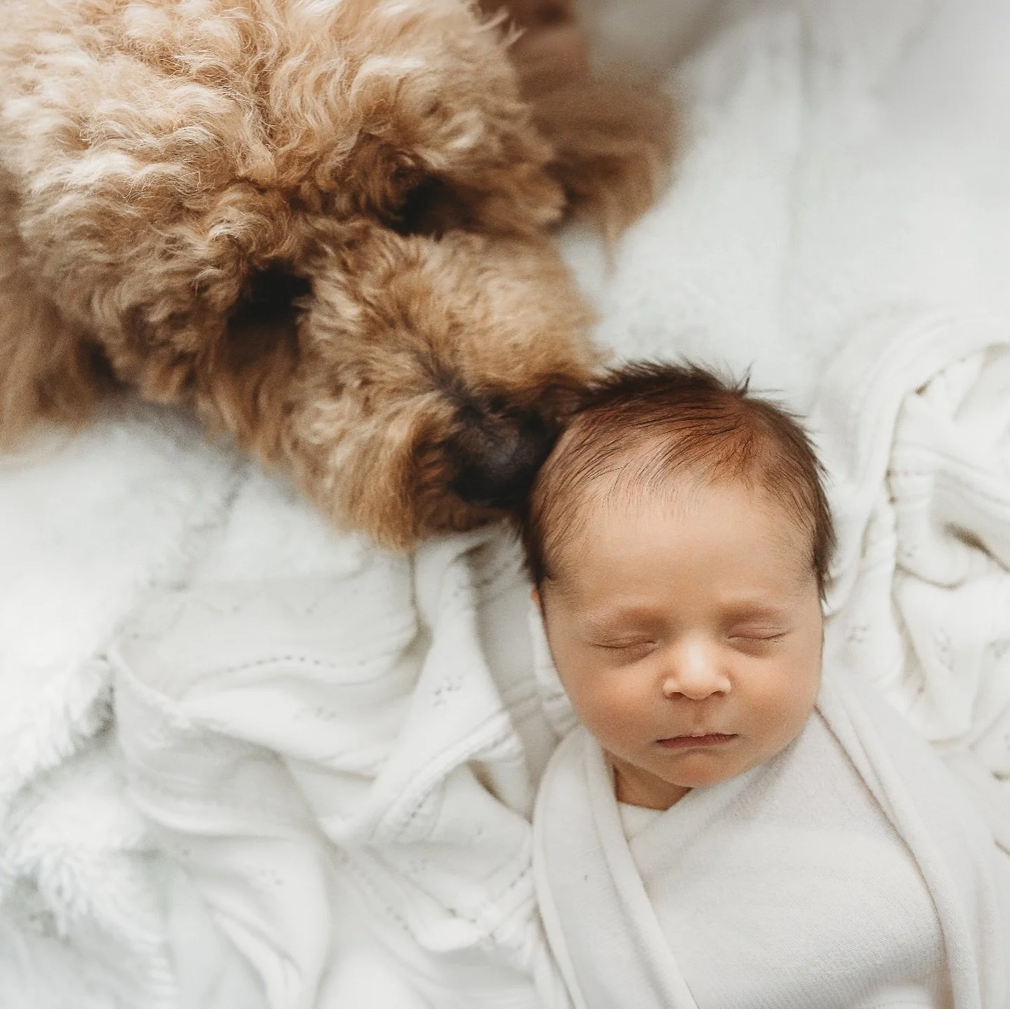 The moments that happen at an in-home newborn session 🥹