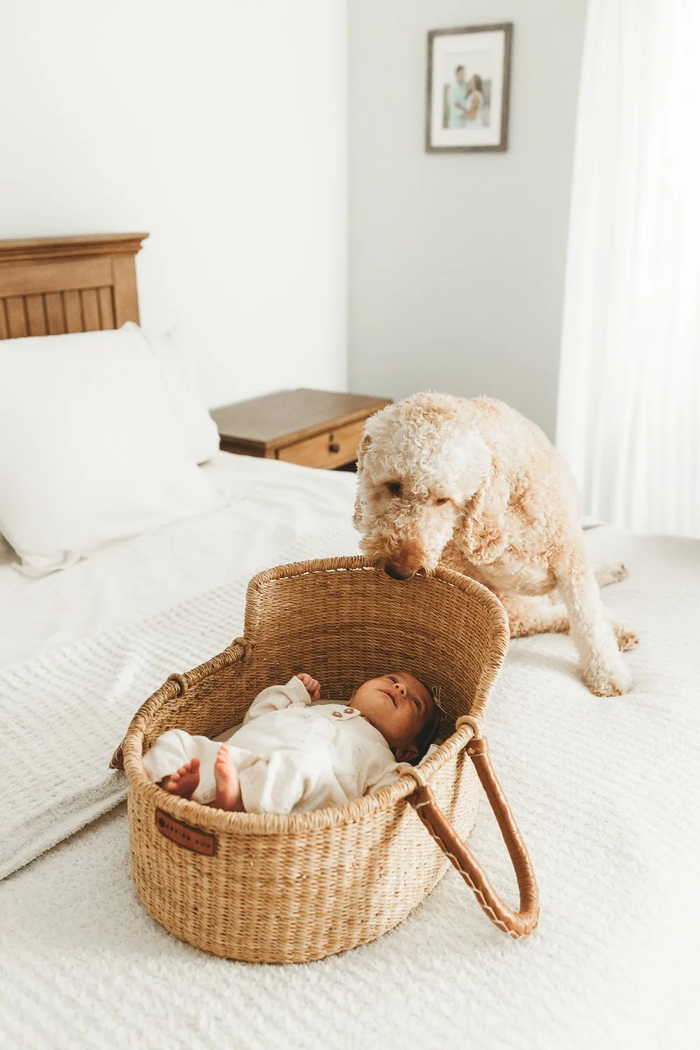 CTFamilyPhotographer-40.jpg