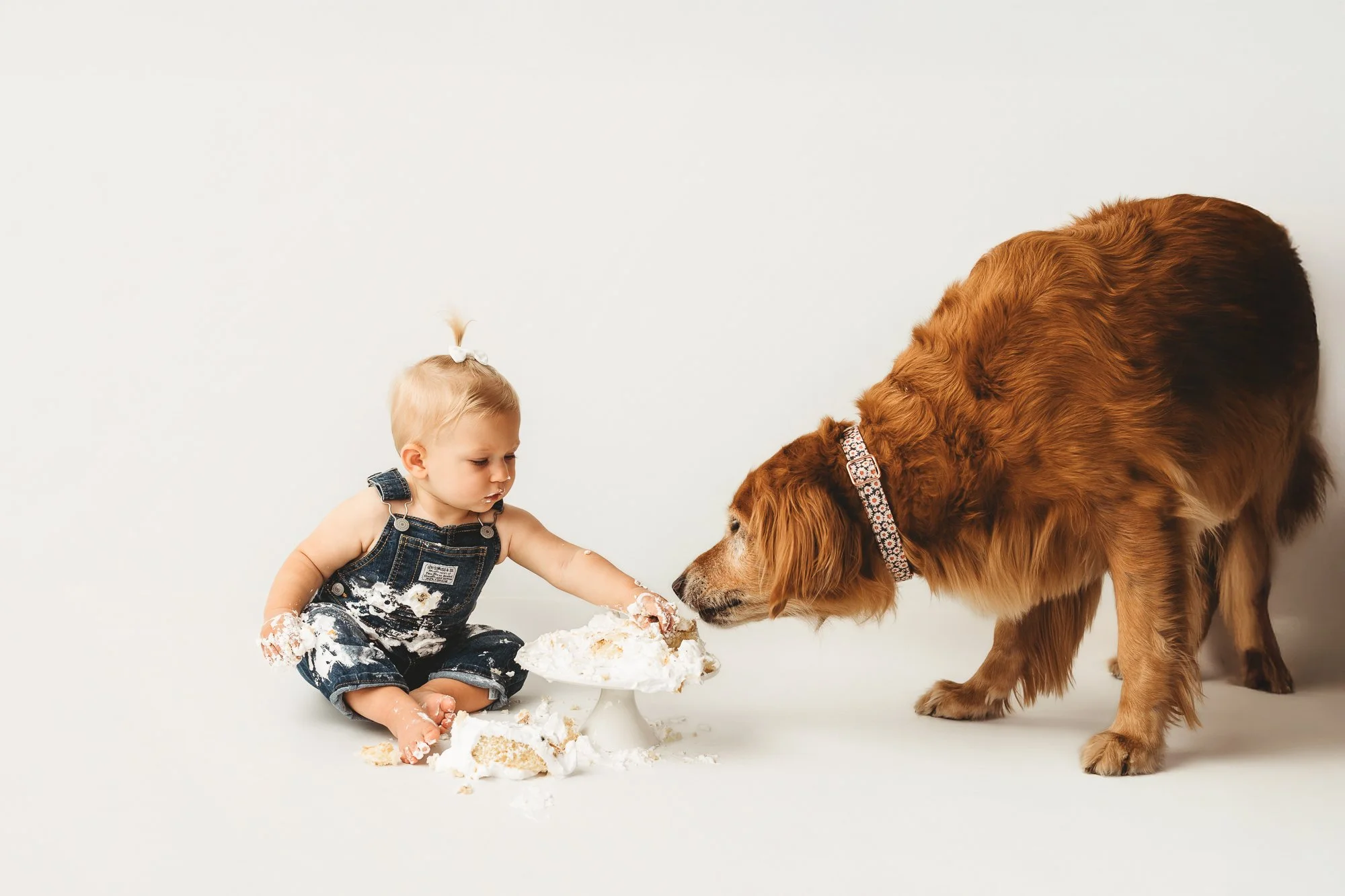 CTFamilyPhotographer-22.jpg