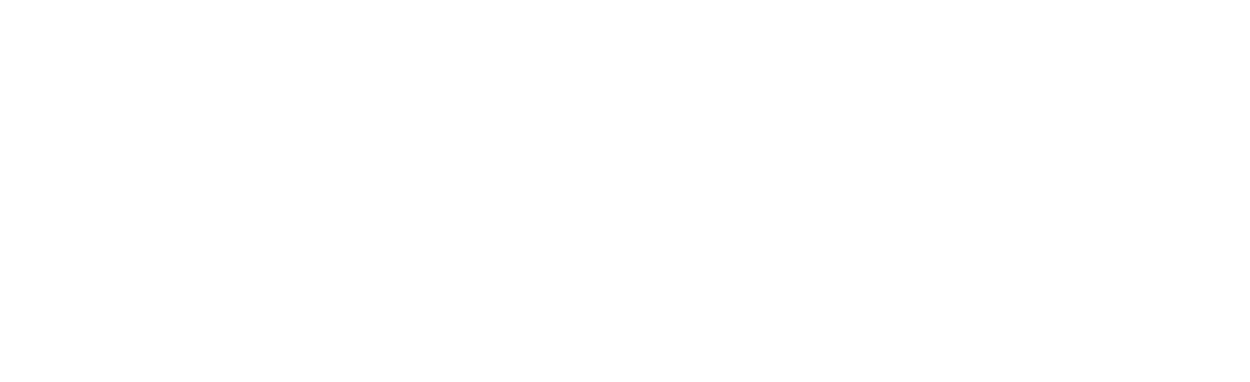 artist