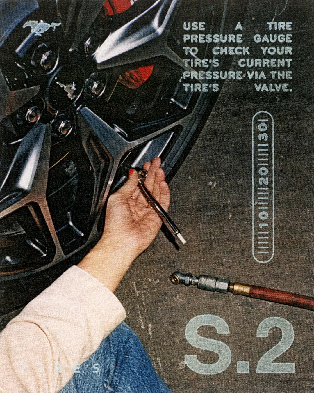 step2 (1).jpg