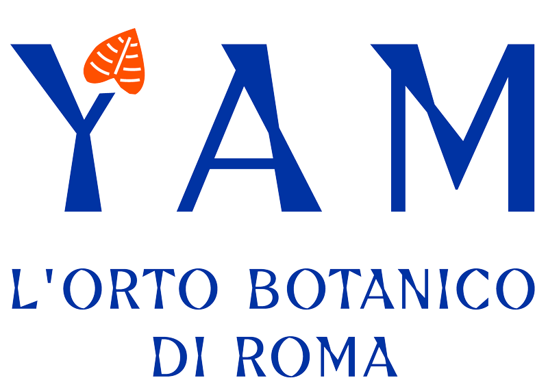 YAM L&#39;Orto Botanico di Roma
