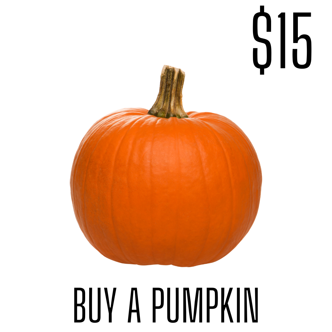 Buy a Pumpkin.png