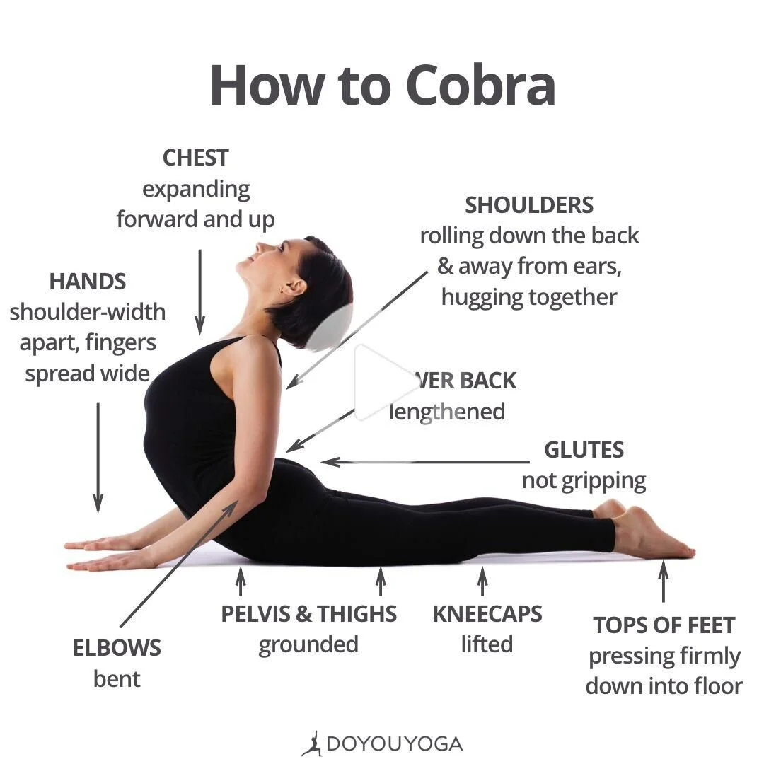 Bhujangasana Cobra