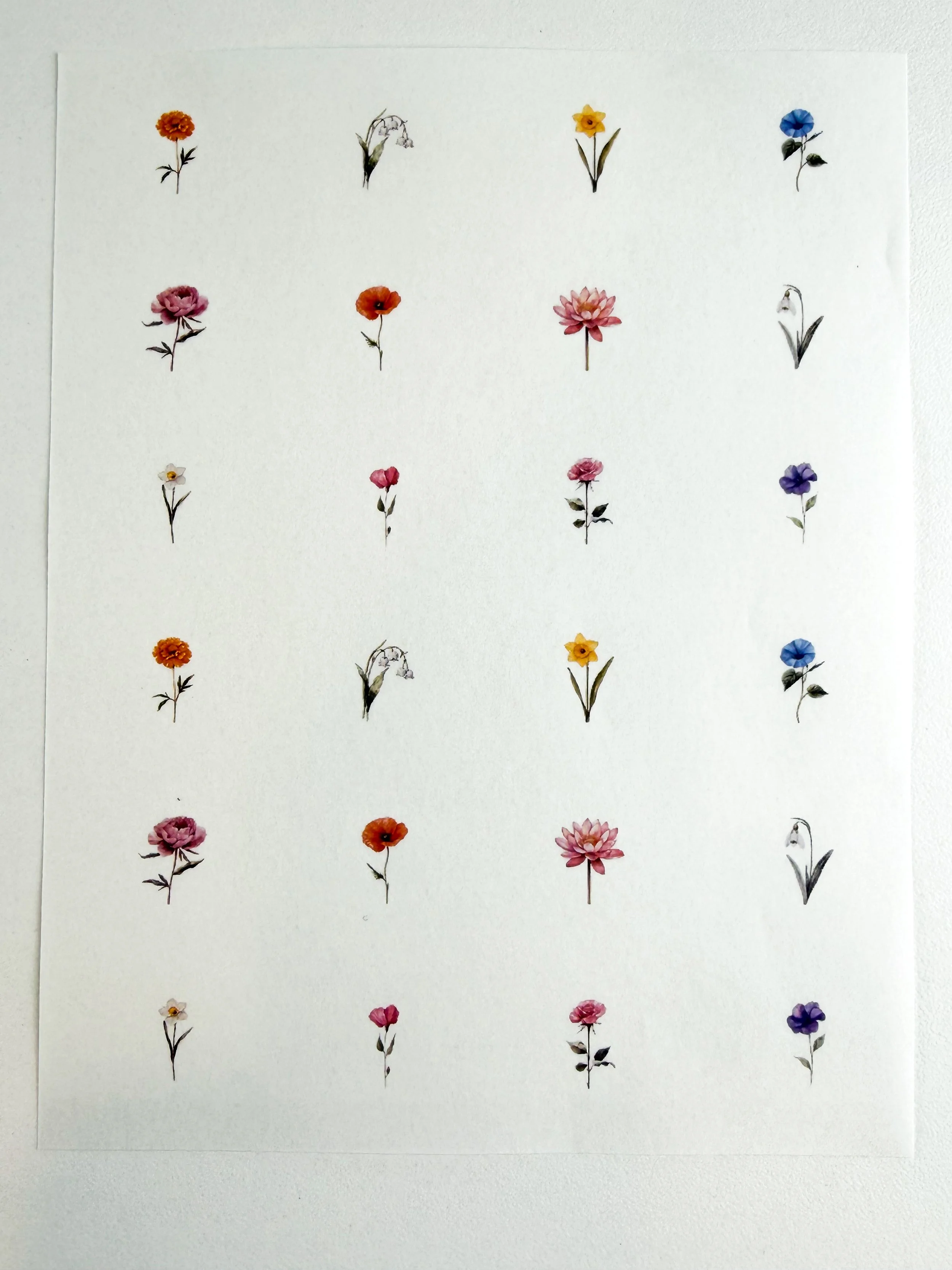 Birth Month Flowers 2 - Group 61