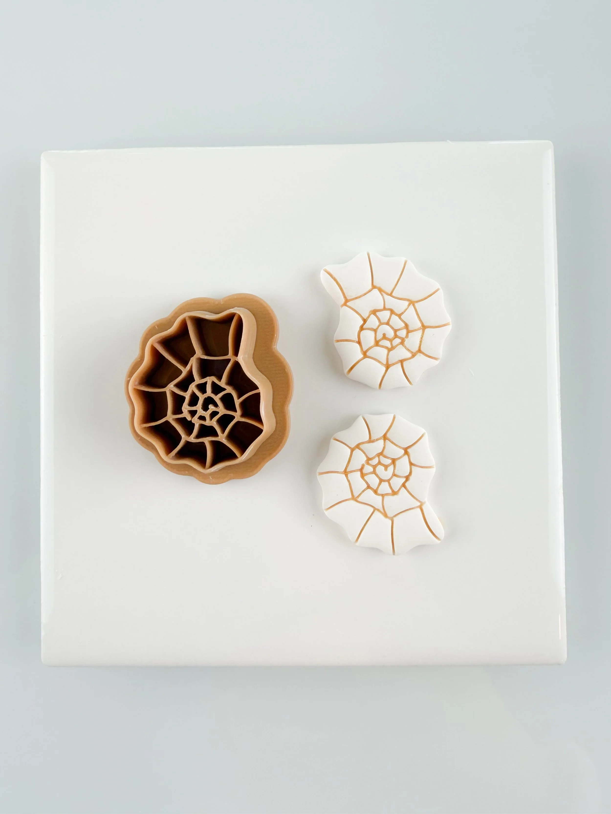 Swirly Shell 2
