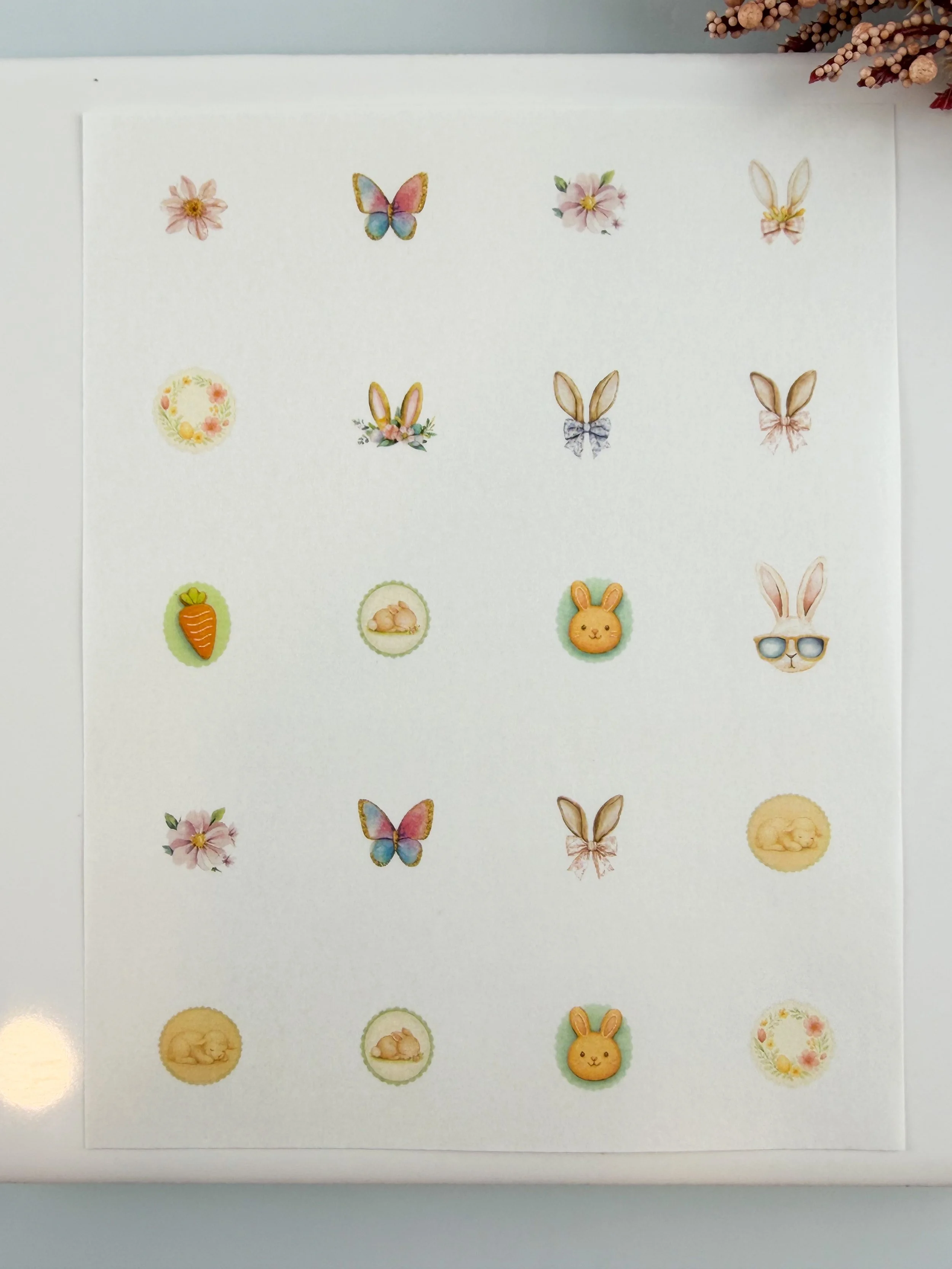 Bunny Charm- Group 55