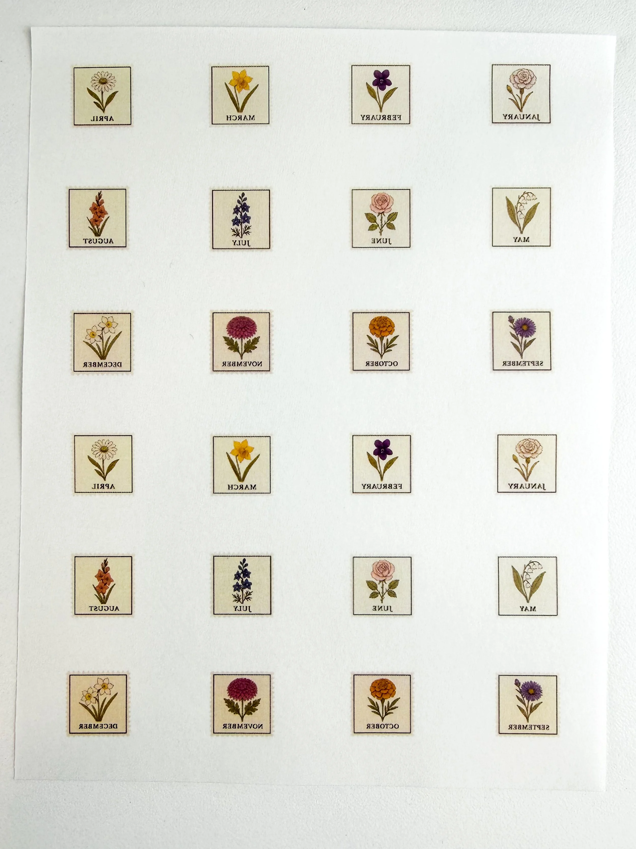 Birth Month Flowers 3 - Group 62