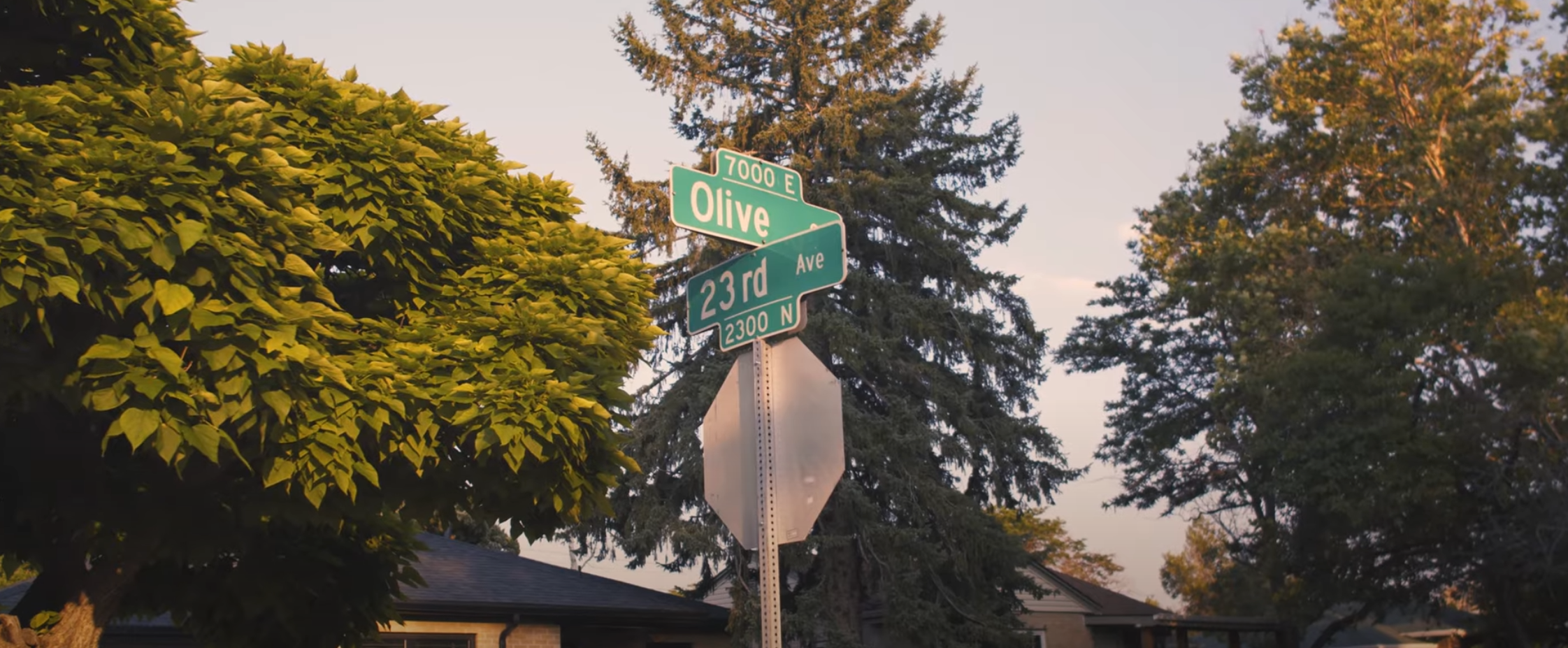 Olive Street - Trayce Chapman