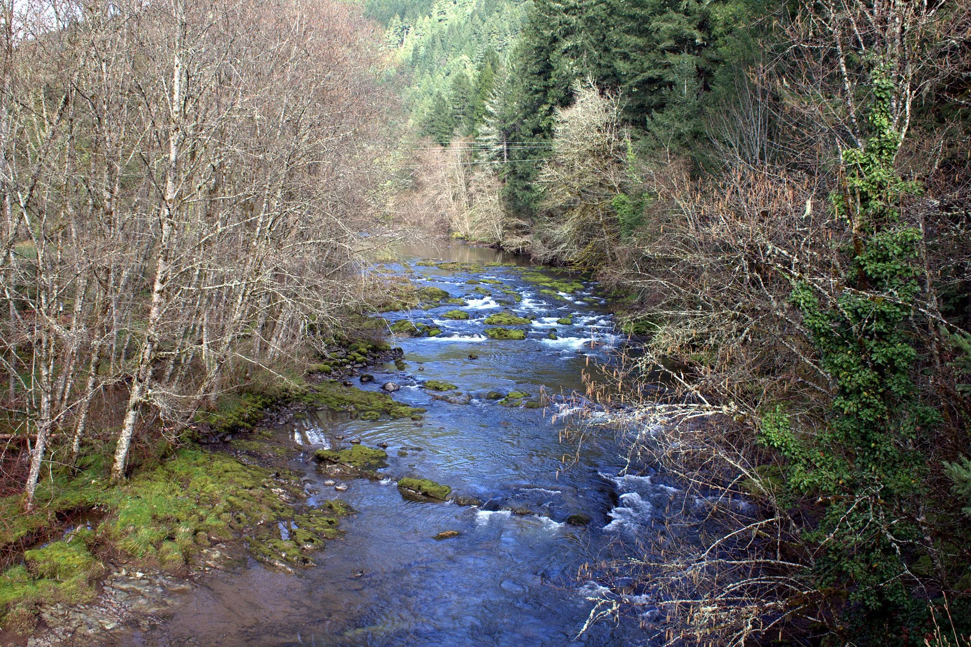 River Talk with William Sullivan