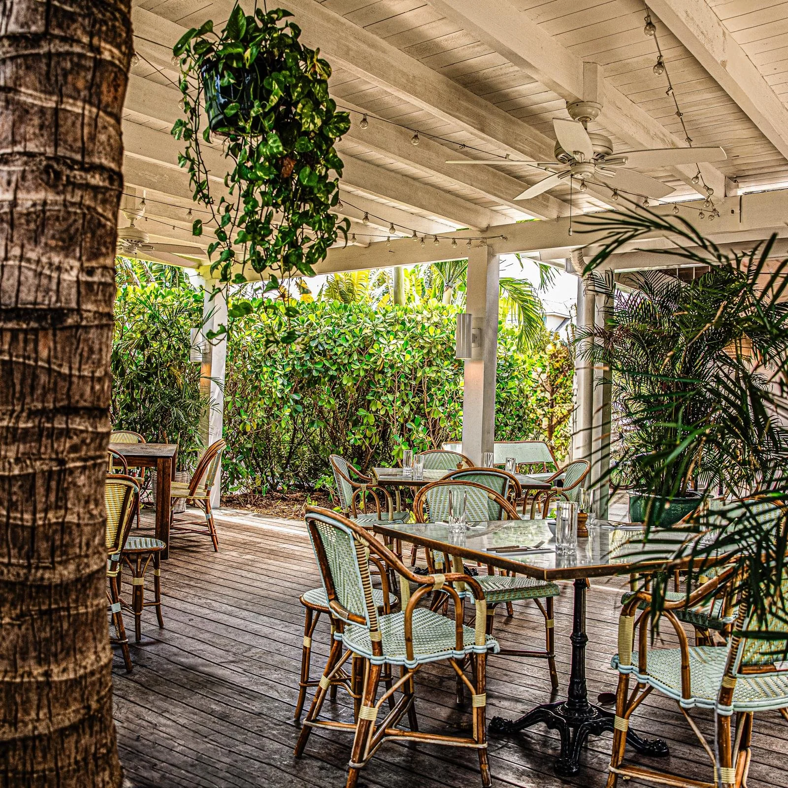 WhatsApp Image 2024-07-26 at 00.05.32 (3).jpeg