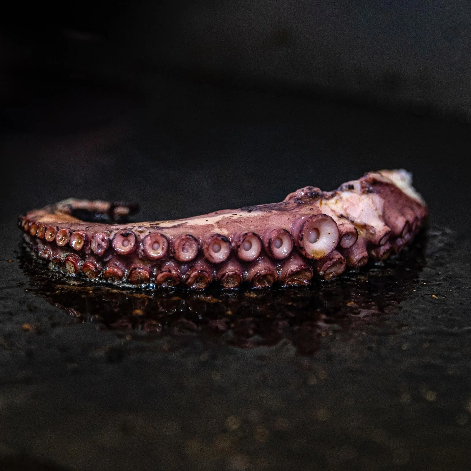 WhatsApp Image 2024-07-26 at 00.05.33 (1).jpeg