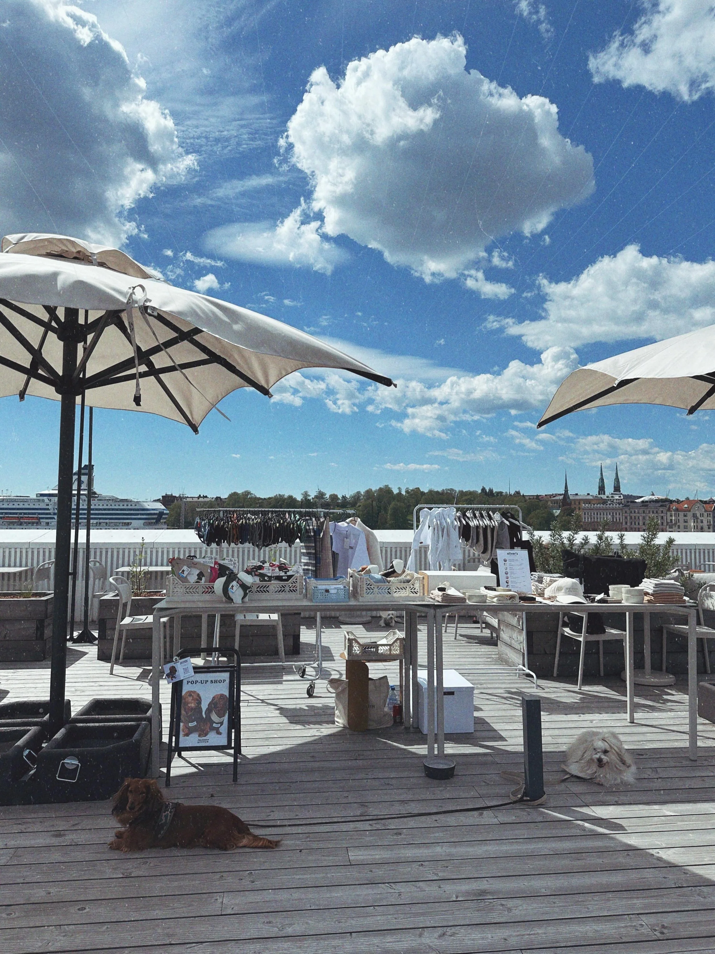 Koirat terdell&auml; tapahtumassa lauantaina 23.5. Kiitos j&auml;rjest&auml;misest&auml; @hotelpier4 meill&auml; oli mahtava p&auml;iv&auml;! 

Kiitos kaikille k&auml;vij&ouml;ille 🩵

Kiitokset my&ouml;s mukana olleet kanssayritt&auml;j&auml;t, koti
