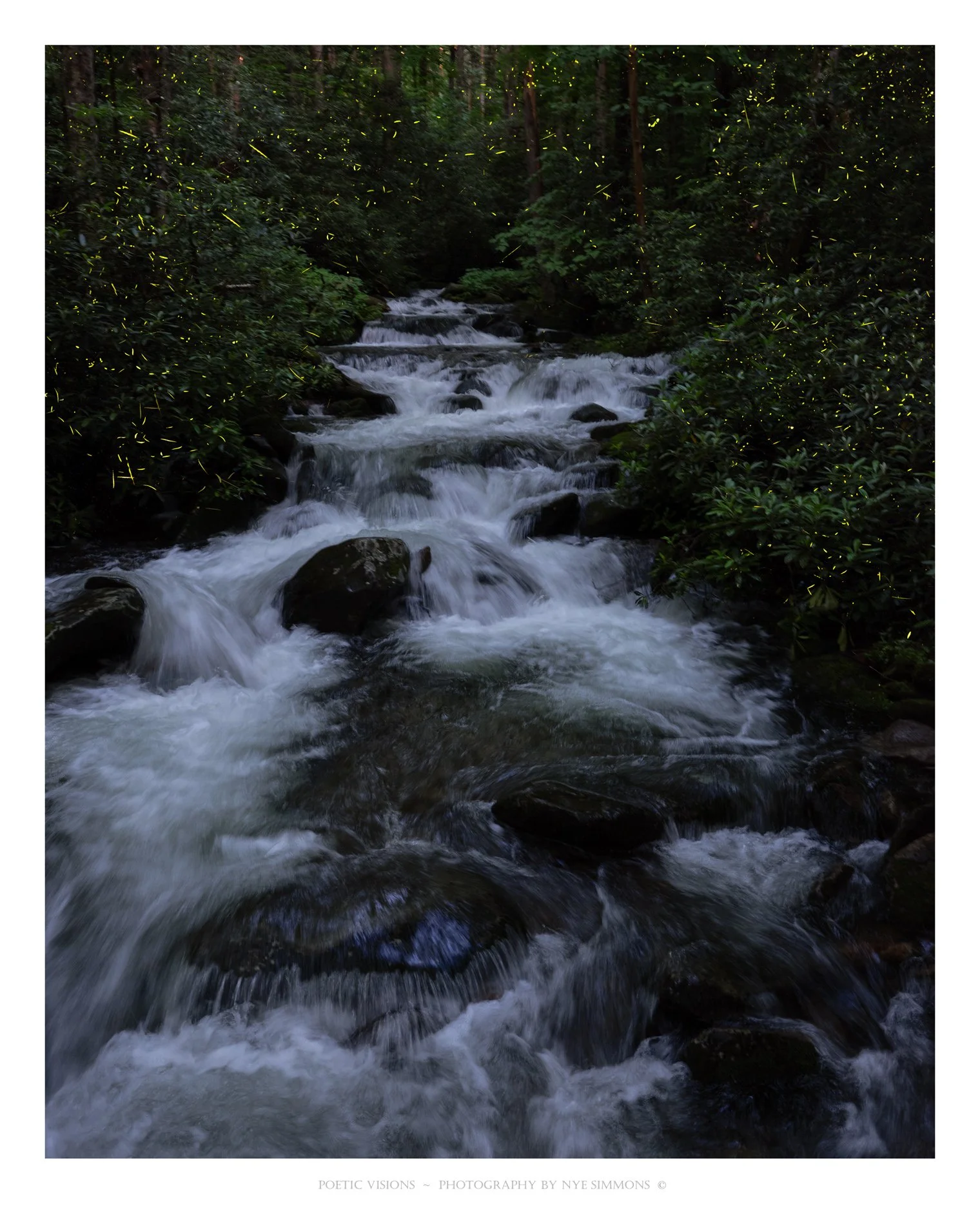 _DSF0811 FF creek 2.jpg