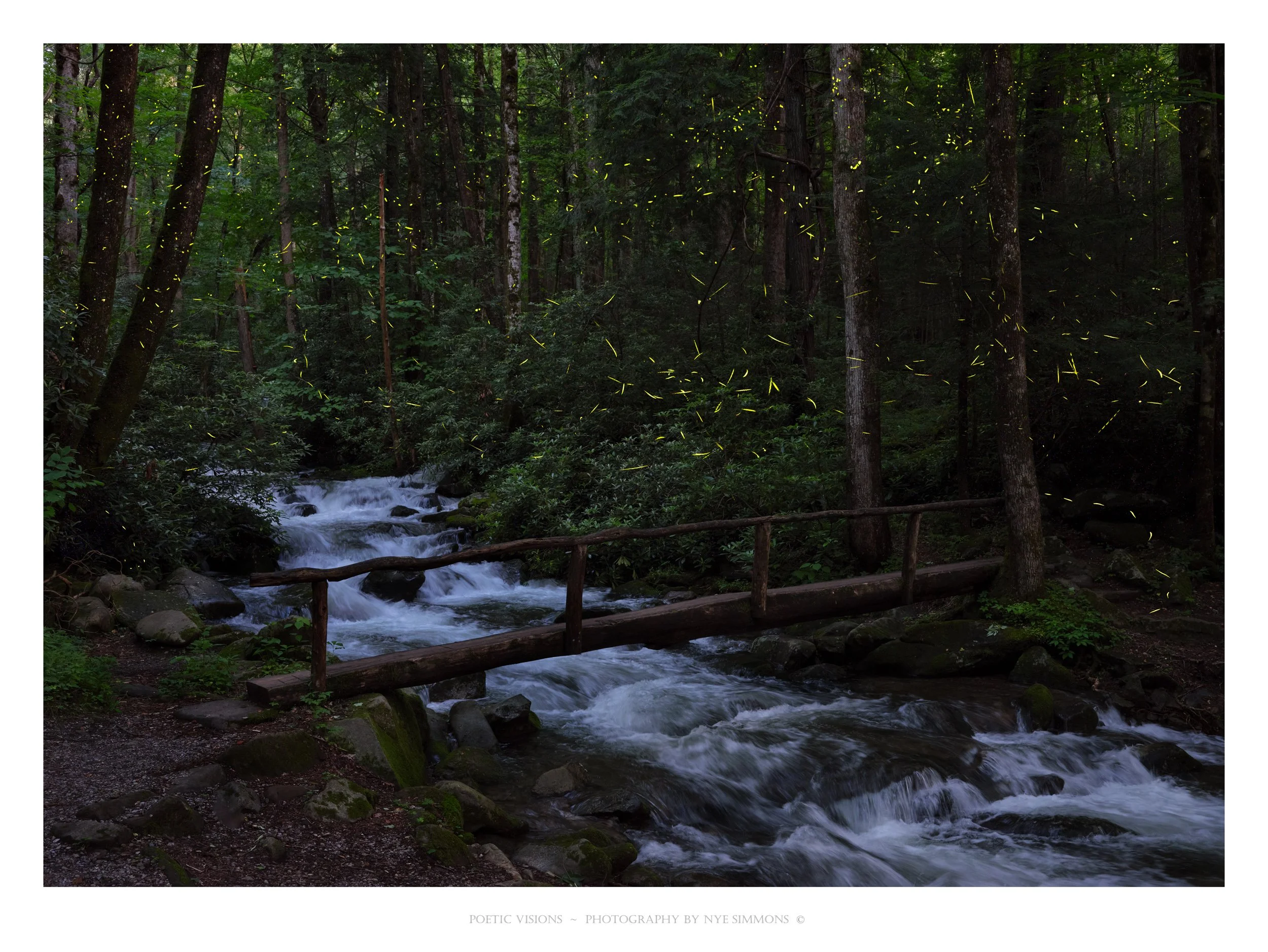 _DSF0824FF creek_1H.jpg